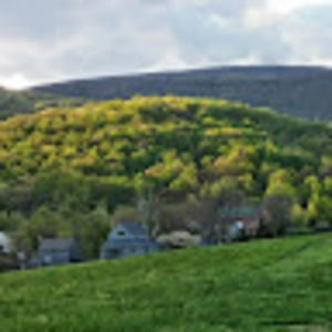 Meet your Posher, Mark c.